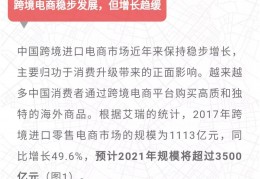 跨境电商之家——全面指南与权威资料库，解析跨境电商雨果网