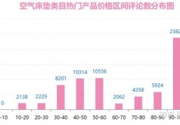 亚马逊美国站与加拿大站的比较分析